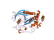 2bzl: CRYSTAL STRUCTURE OF THE HUMAN PROTEIN TYROSINE PHOSPHATASE N14 AT 1.65 A RESOLUTION