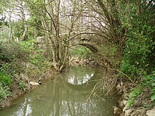 Ponte medieval dos Amenadás.JPG