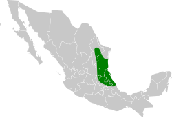 Distribución geográfica del picogrueso cuellirrufo.