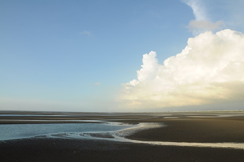 File:Taichung City Gaomei Wetland.jpg