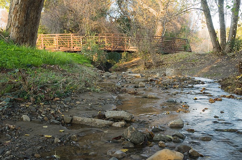 File:Berryessa Creek Park Bridge.jpg