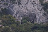 Cueva de las Covalana.