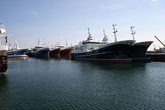 The Fraserburgh fleet