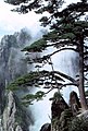 Scenery in Huangshan