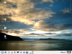 Рабочий стол Knoppix
