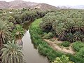 Oasis en Baja California Sur.