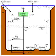 Marine silicon cycle