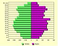 5. Pirámide poblaciónal por grupos de edad y sexo del municipio durante el año 2006