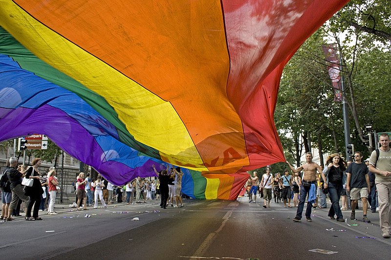 Archivo:Regenbogenparade 2007 Rainbow.jpg