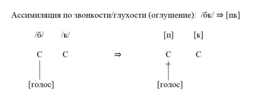 Ассимиляция по звонкости/глухости (оглушение)