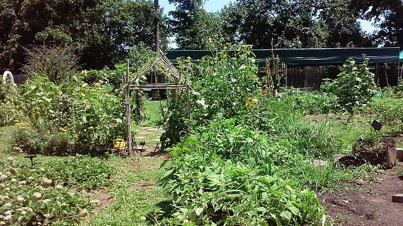 File:BBG Children's Garden.jpg