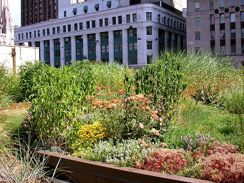 File:Chicago-City-Hall-Green-Roof 01.jpg