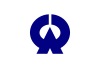 Flag of Ōtoyo