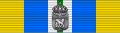 Ribbon bar of the commemorative medal