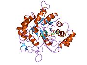 1hqt: THE CRYSTAL STRUCTURE OF AN ALDEHYDE REDUCTASE Y50F MUTANT-NADP COMPLEX AND ITS IMPLICATIONS FOR SUBSTRATE BINDING