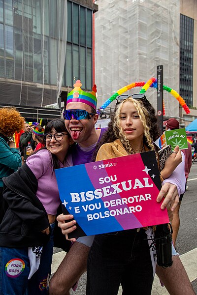 File:Parada LGBTQIA+ 2022 (52176822426).jpg