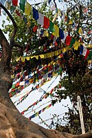 Prayer flags at Swayambunath, Kathmandu.