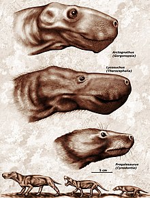 Theriodontia old.jpg