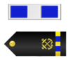 U.S. Navy Chief Warrant Officer 3 Rank Insignia