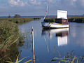 On the Saaler Bodden near Dierhagen