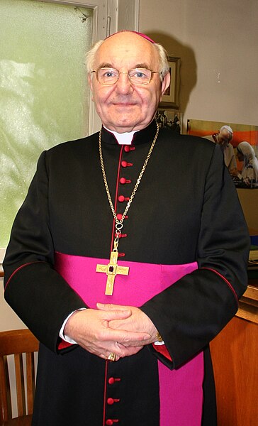 File:Archbishop Fernand Franck.jpg