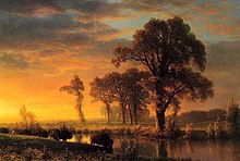 Landscape painting with bison drinking from the stream's edge and the sun just above the horizon