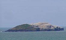 Grassholm.jpg