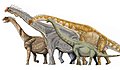 Macronarian sauropods; from left, Camarasaurus, Brachiosaurus, Giraffatitan, Euhelopus.