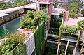 Rooftop garden of Meghna Residence