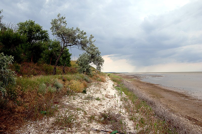 File:Molochnyi Lyman Kosykh.jpg