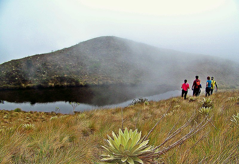 File:Paramo Andino Estado Tachira.jpg