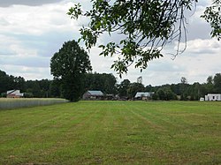 View of Prusy, Mińsk County some part of it.