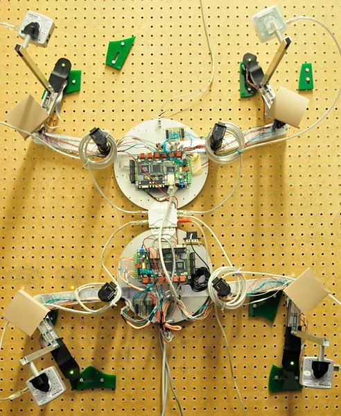 File:Capuchin Free Climbing Robot.jpg