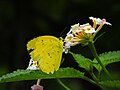 From Thrissur, Kerala