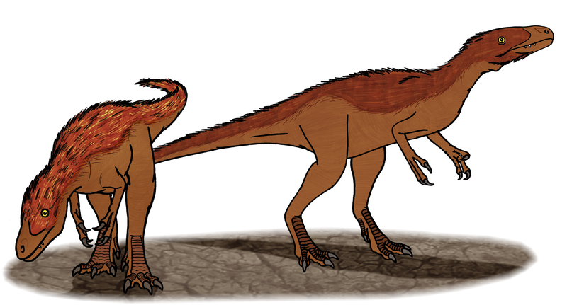 File:Eotyrannus Conty 2.png