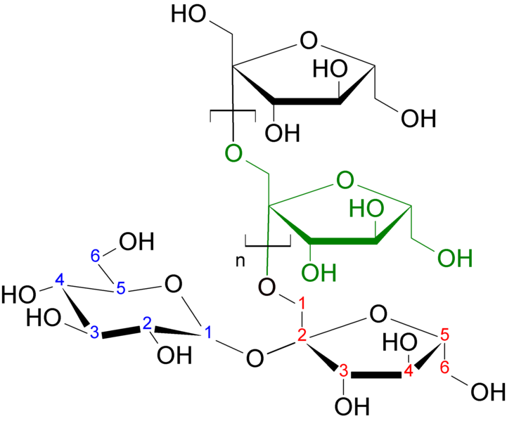 File:Inulin strukturformel.png