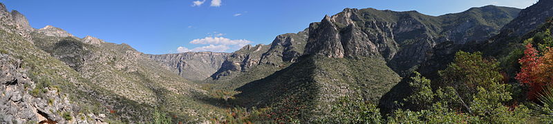 McKittrick Canyon, Texas