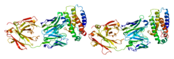 PDB rendering based on 1v7m.