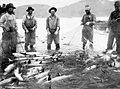 Seining salmon on Columbia River, Oregon, 1914