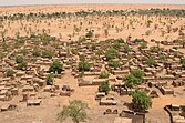 Desert sand half covers a village of small flat-roofed houses with scattered green trees