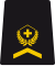 OR-5a - Sergeant