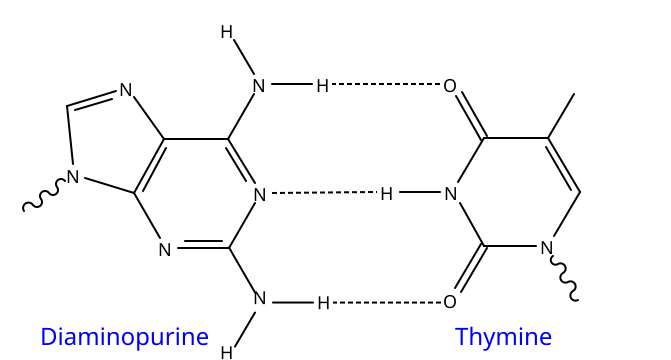 File:DiampurineT DNA base pair.svg