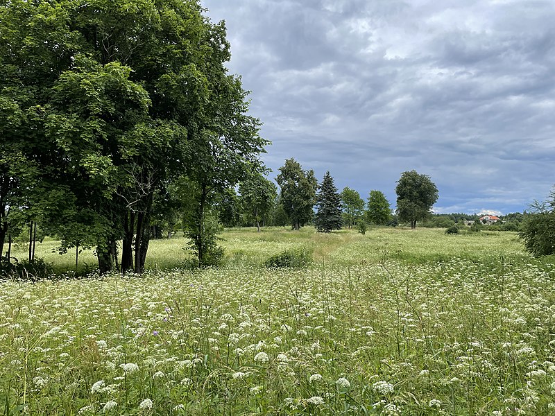 Файл:Girininkai, Trakų rajonas 2.jpg