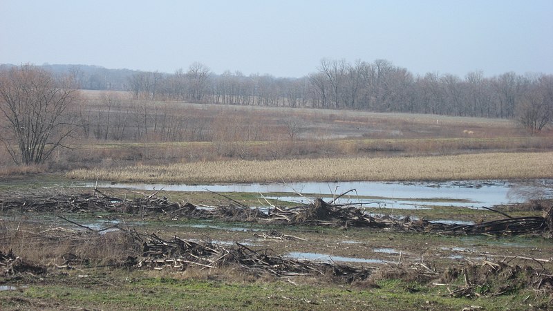 File:Glendale Ridge Archaeological Site.jpg