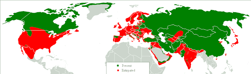 File:Gray Wolf Distribution.gif