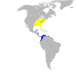 Distribución: Amarillo: anidamiento Azul: invernal