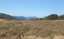 一片草原，远处有一座山峰