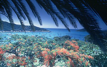 Charlotte Amalie, St Thomas, Virgin Islands, 1980.