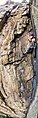 Vertical panorama of "Triple S" on the west face of Seneca Rocks