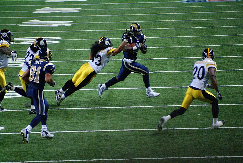 File:Troy Polamalu dive tackle.jpg